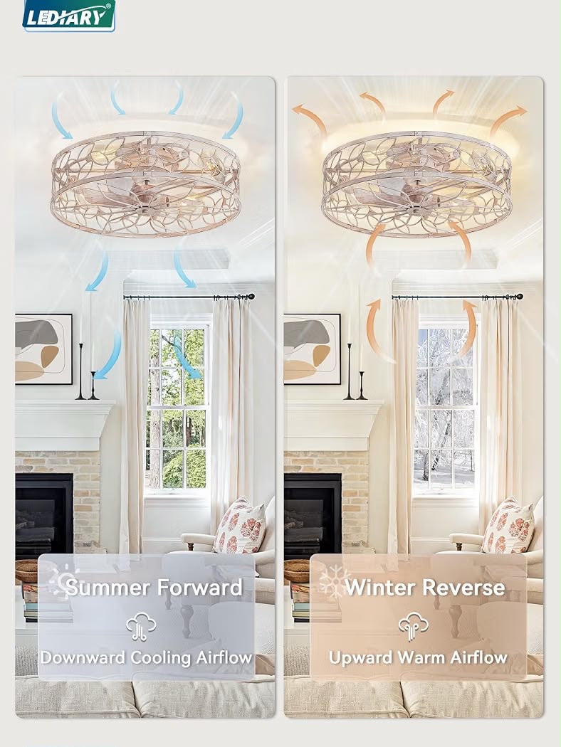 LEDIARY 23" Caged Ceiling Fan with Light, Flush Mount Fandalier with Remote